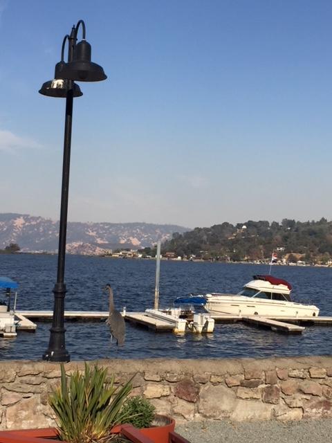 Clear Lake Vista Resort Kelseyville Esterno foto