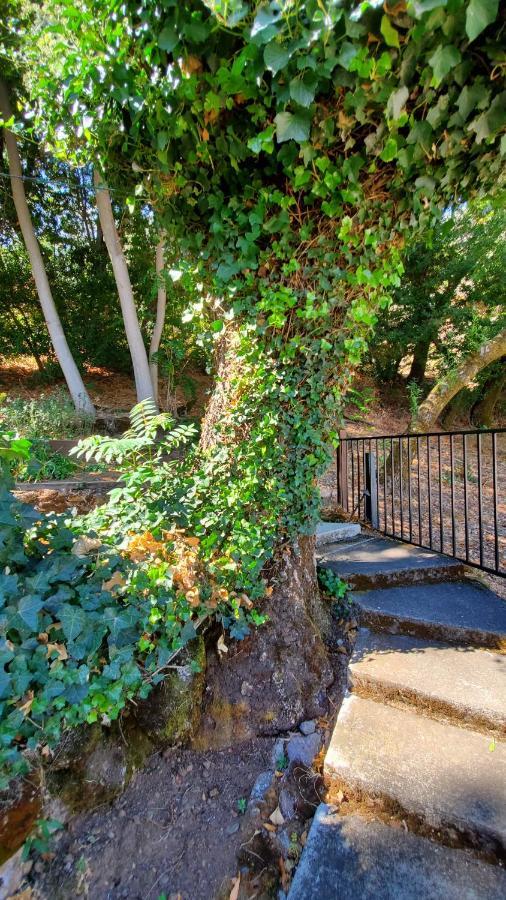 Clear Lake Vista Resort Kelseyville Esterno foto